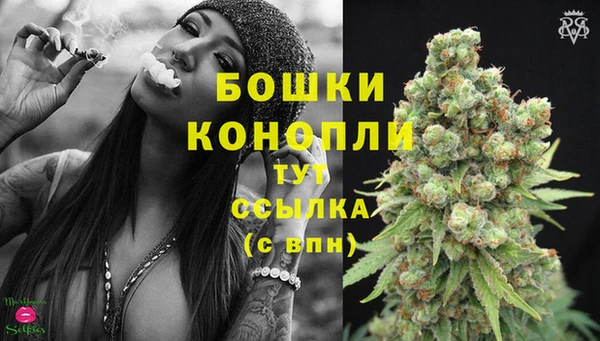 mix Козельск