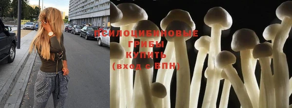 mix Козельск