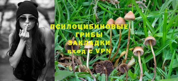 гашиш Козловка