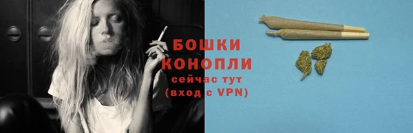 мдпв Корсаков