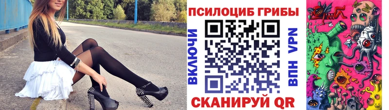 Купить закладки  Киров  Псилоцибиновые грибы мухоморы 